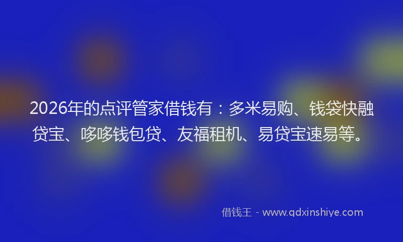 2026年的点评管家借钱有：多米易购、钱袋快融贷宝、哆哆钱包贷、友福租机、易贷宝速易等。
