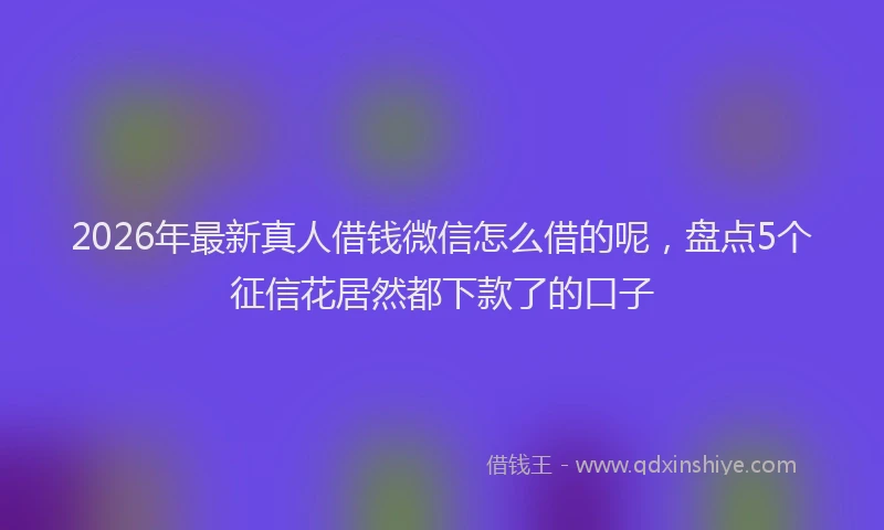 2026年最新真人借钱微信怎么借的呢，盘点5个征信花居然都下款了的口子