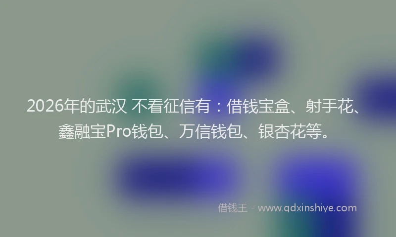 2026年的武汉 不看征信有：借钱宝盒、射手花、鑫融宝Pro钱包、万信钱包、银杏花等。