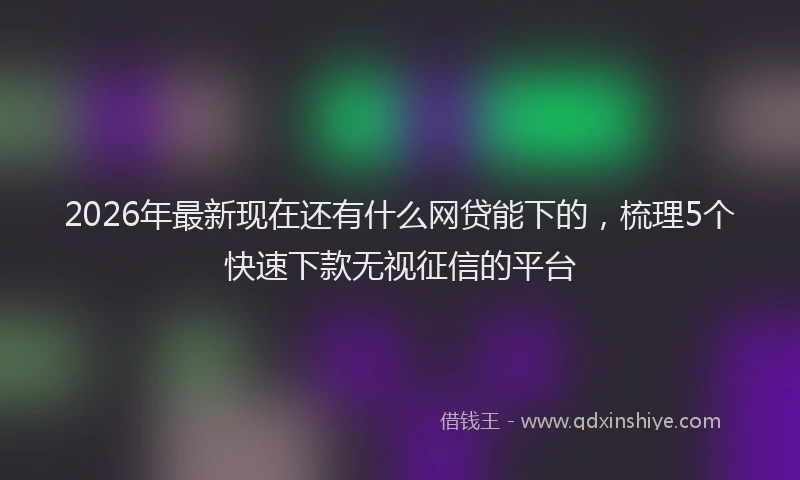 2026年最新现在还有什么网贷能下的，梳理5个快速下款无视征信的平台