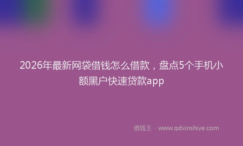 2026年最新网袋借钱怎么借款，盘点5个手机小额黑户快速贷款app