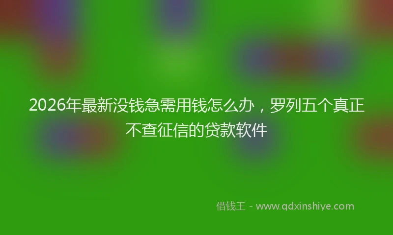 2026年最新没钱急需用钱怎么办，罗列五个真正不查征信的贷款软件