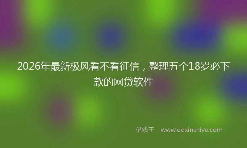 2026年最新极风看不看征信，整理五个18岁必下款的网贷软件