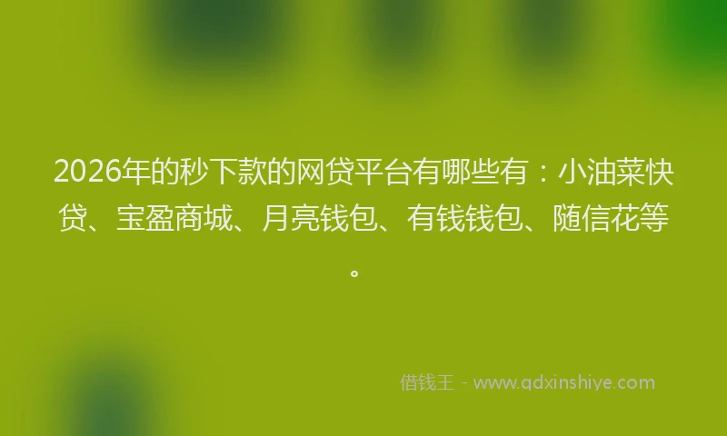 2026年的秒下款的网贷平台有哪些有：小油菜快贷、宝盈商城、月亮钱包、有钱钱包、随信花等。