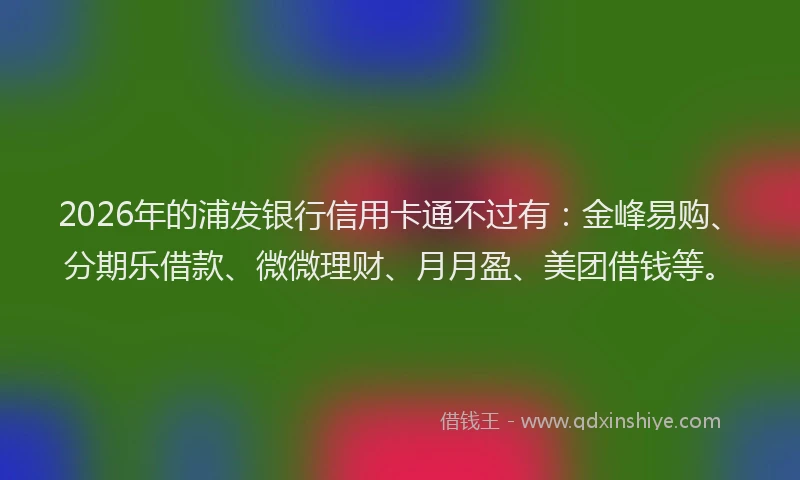 2026年的浦发银行信用卡通不过有：金峰易购、分期乐借款、微微理财、月月盈、美团借钱等。