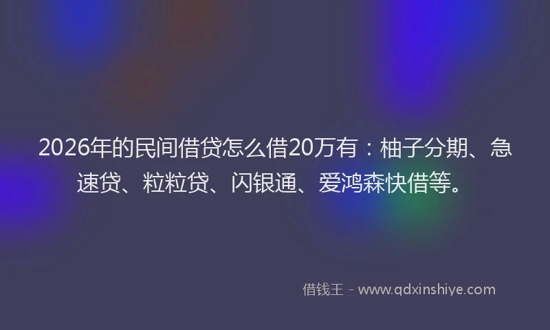 2026年的民间借贷怎么借20万有：柚子分期、急速贷、粒粒贷、闪银通、爱鸿森快借等。