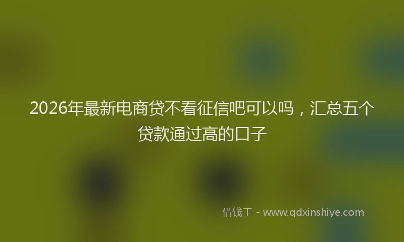 2026年最新电商贷不看征信吧可以吗，汇总五个贷款通过高的口子