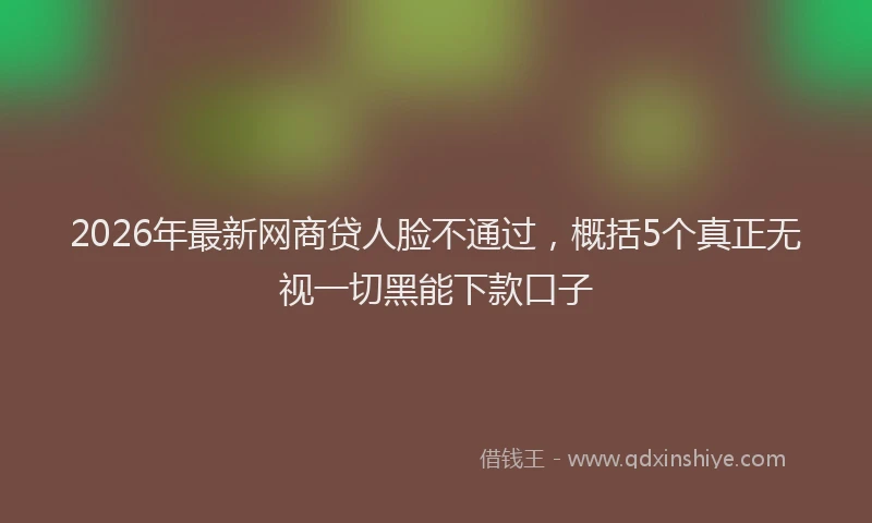2026年最新网商贷人脸不通过，概括5个真正无视一切黑能下款口子
