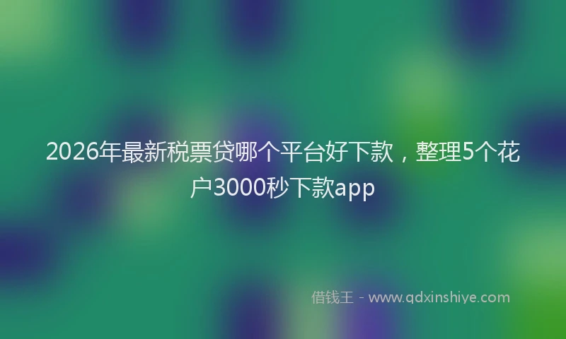 2026年最新税票贷哪个平台好下款，整理5个花户3000秒下款app