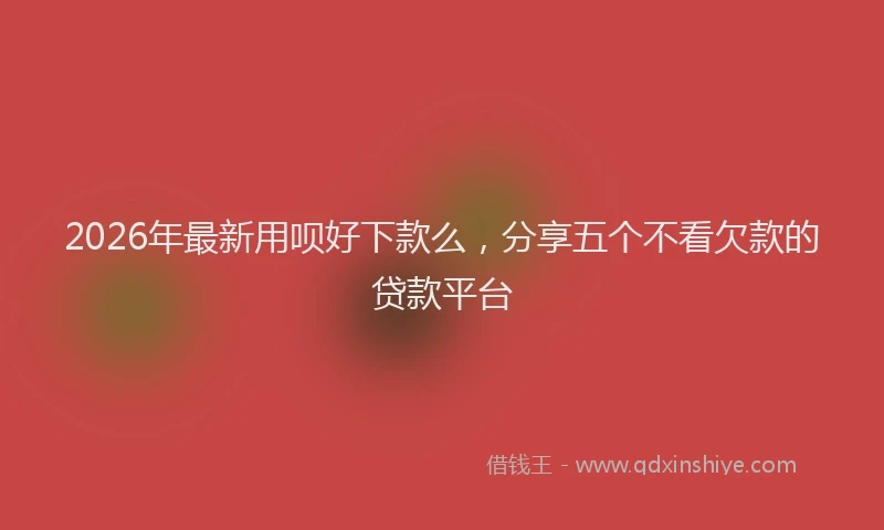 2026年最新用呗好下款么，分享五个不看欠款的贷款平台