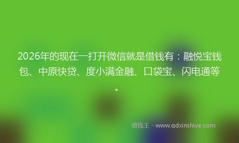 2026年的现在一打开微信就是借钱有：融悦宝钱包、中原快贷、度小满金融、口袋宝、闪电通等。