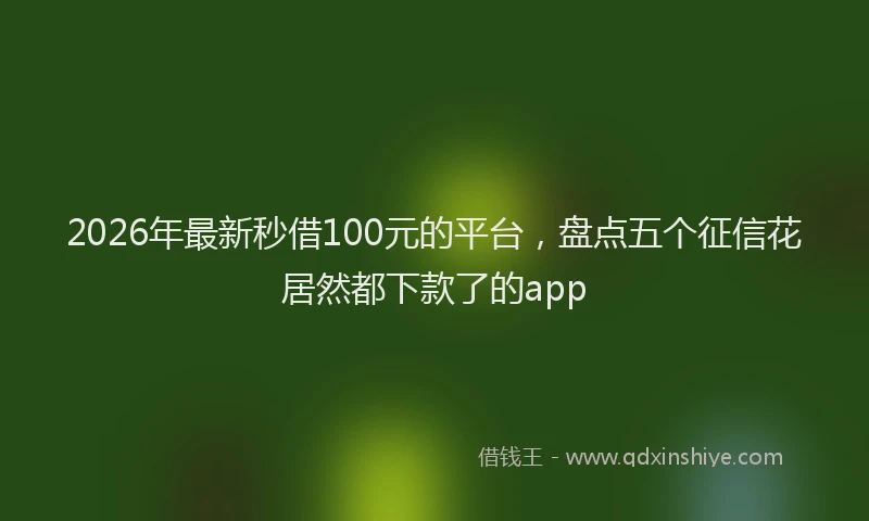 2026年最新秒借100元的平台，盘点五个征信花居然都下款了的app