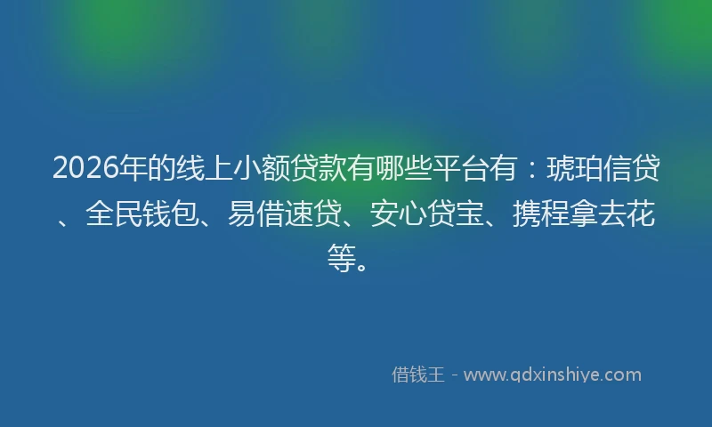 2026年的线上小额贷款有哪些平台有：琥珀信贷、全民钱包、易借速贷、安心贷宝、携程拿去花等。