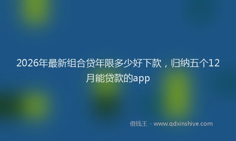 2026年最新组合贷年限多少好下款，归纳五个12月能贷款的app