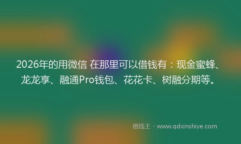 2026年的用微信 在那里可以借钱有：现金蜜蜂、龙龙享、融通Pro钱包、花花卡、树融分期等。