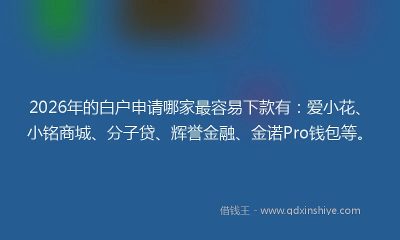 2026年的白户申请哪家最容易下款有：爱小花、小铭商城、分子贷、辉誉金融、金诺Pro钱包等。
