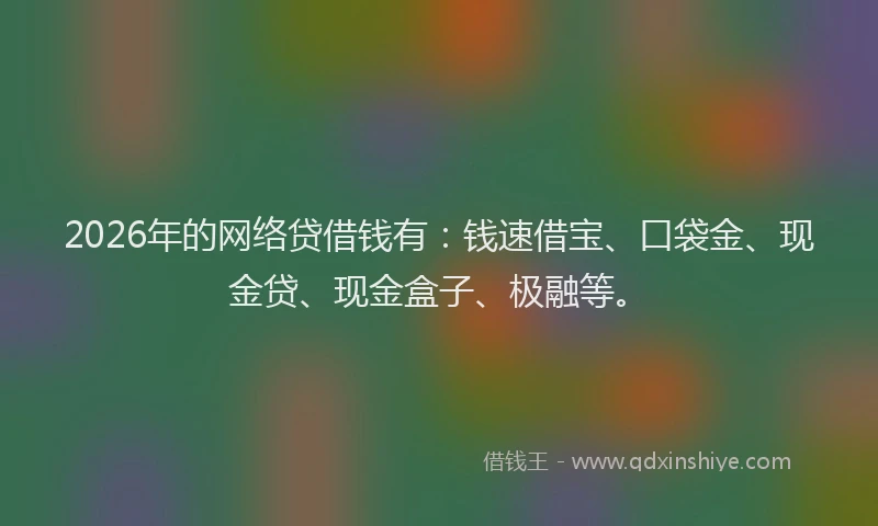 2026年的网络贷借钱有：钱速借宝、口袋金、现金贷、现金盒子、极融等。