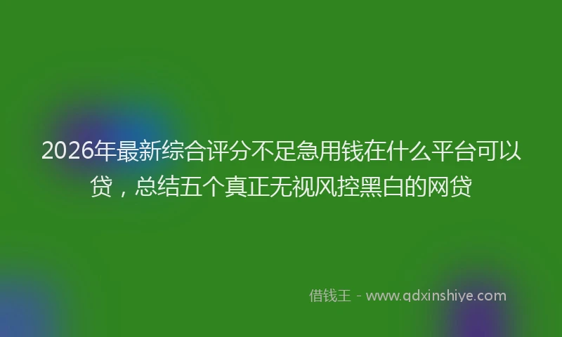 2026年最新综合评分不足急用钱在什么平台可以贷，总结五个真正无视风控黑白的网贷