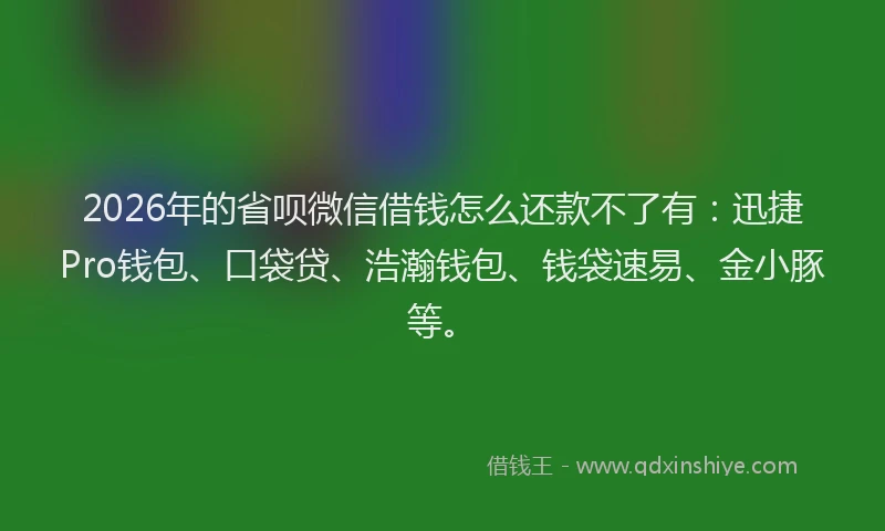 2026年的省呗微信借钱怎么还款不了有：迅捷Pro钱包、口袋贷、浩瀚钱包、钱袋速易、金小豚等。