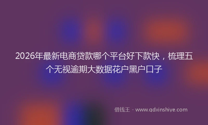 2026年最新电商贷款哪个平台好下款快，梳理五个无视逾期大数据花户黑户口子