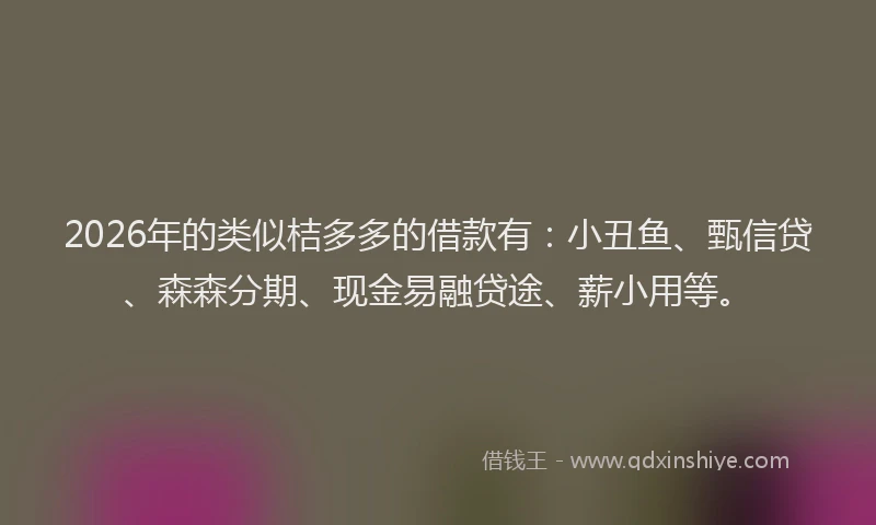 2026年的类似桔多多的借款有：小丑鱼、甄信贷、森森分期、现金易融贷途、薪小用等。