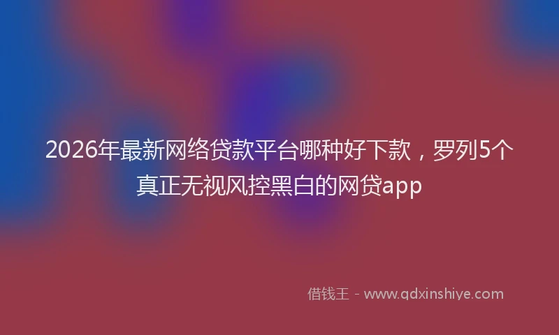 2026年最新网络贷款平台哪种好下款，罗列5个真正无视风控黑白的网贷app