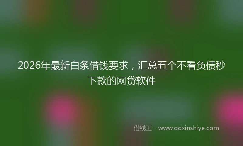 2026年最新白条借钱要求，汇总五个不看负债秒下款的网贷软件