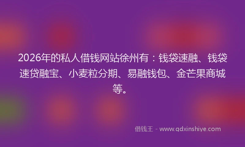 2026年的私人借钱网站徐州有：钱袋速融、钱袋速贷融宝、小麦粒分期、易融钱包、金芒果商城等。