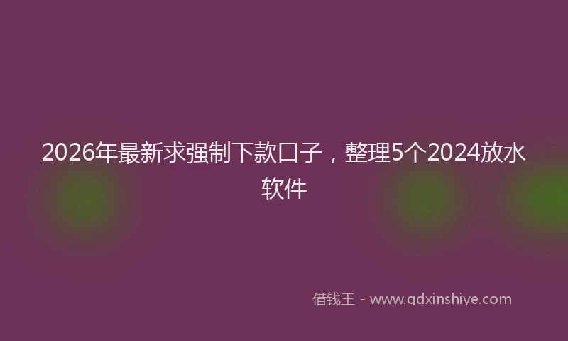 2026年最新求强制下款口子，整理5个2024放水软件