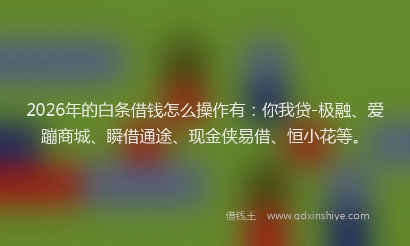 2026年的白条借钱怎么操作有：你我贷-极融、爱蹦商城、瞬借通途、现金侠易借、恒小花等。