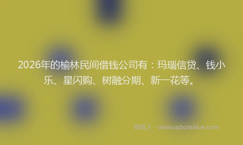 2026年的榆林民间借钱公司有：玛瑙信贷、钱小乐、星闪购、树融分期、新一花等。