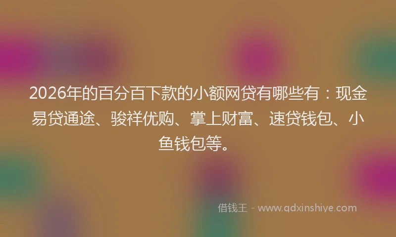 2026年的百分百下款的小额网贷有哪些有：现金易贷通途、骏祥优购、掌上财富、速贷钱包、小鱼钱包等。