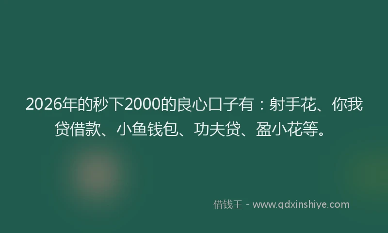 2026年的秒下2000的良心口子有：射手花、你我贷借款、小鱼钱包、功夫贷、盈小花等。