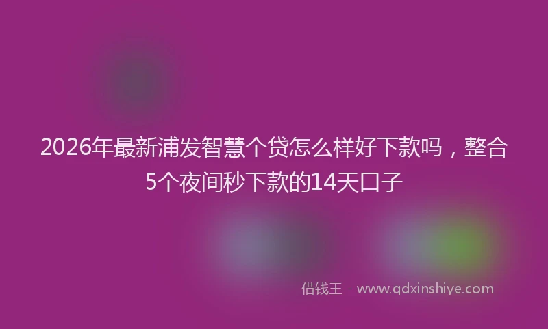 2026年最新浦发智慧个贷怎么样好下款吗，整合5个夜间秒下款的14天口子