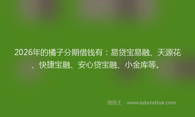 2026年的橘子分期借钱有：易贷宝易融、天源花、快捷宝融、安心贷宝融、小金库等。
