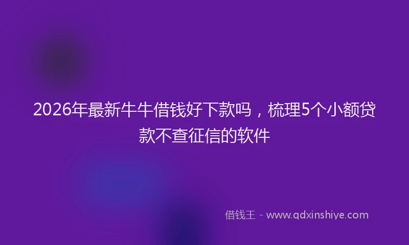 2026年最新牛牛借钱好下款吗，梳理5个小额贷款不查征信的软件