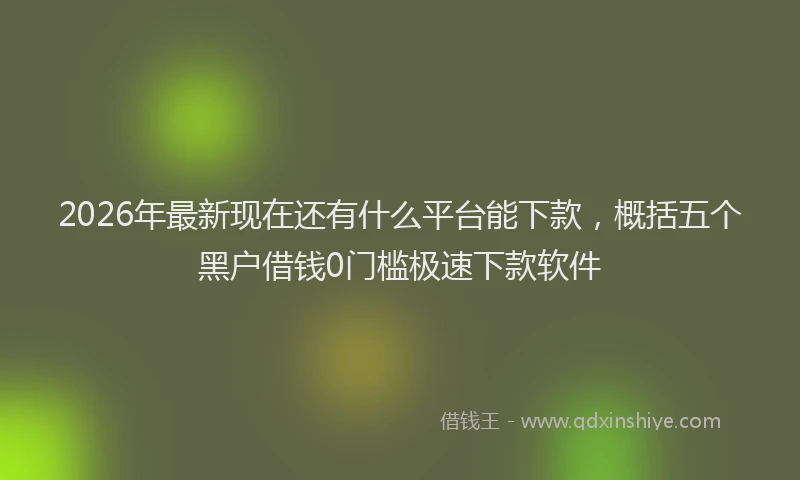 2026年最新现在还有什么平台能下款，概括五个黑户借钱0门槛极速下款软件