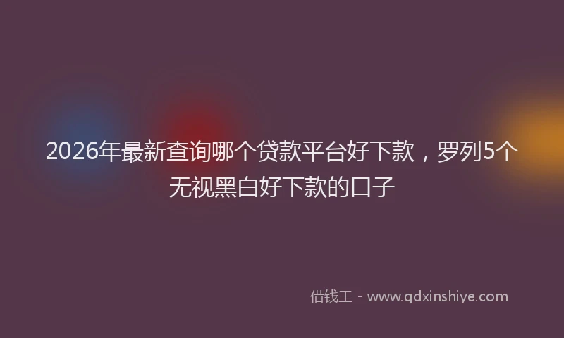 2026年最新查询哪个贷款平台好下款，罗列5个无视黑白好下款的口子