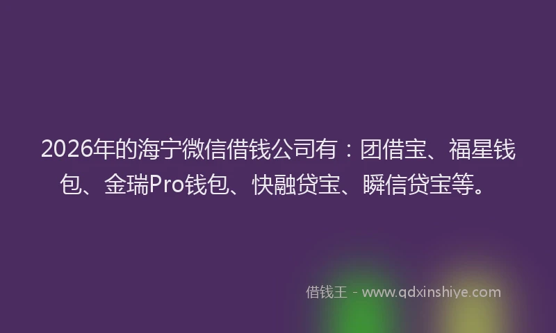 2026年的海宁微信借钱公司有：团借宝、福星钱包、金瑞Pro钱包、快融贷宝、瞬信贷宝等。