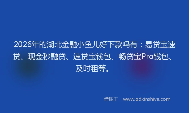2026年的湖北金融小鱼儿好下款吗有：易贷宝速贷、现金秒融贷、速贷宝钱包、畅贷宝Pro钱包、及时租等。