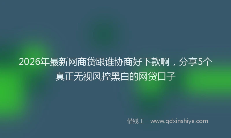 2026年最新网商贷跟谁协商好下款啊，分享5个真正无视风控黑白的网贷口子