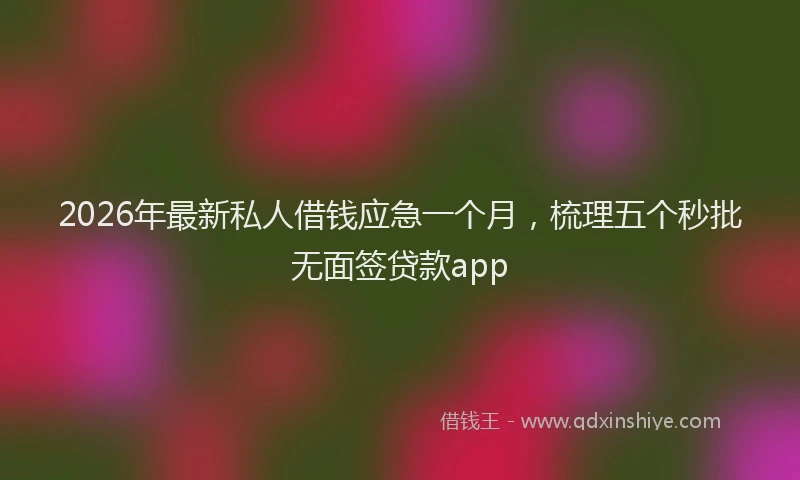2026年最新私人借钱应急一个月，梳理五个秒批无面签贷款app