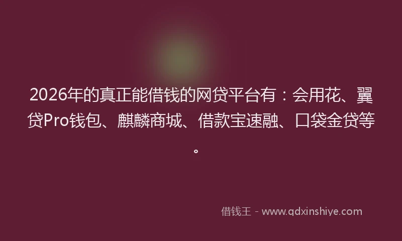 2026年的真正能借钱的网贷平台有：会用花、翼贷Pro钱包、麒麟商城、借款宝速融、口袋金贷等。