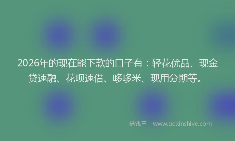 2026年的现在能下款的口子有：轻花优品、现金贷速融、花呗速借、哆哆米、现用分期等。