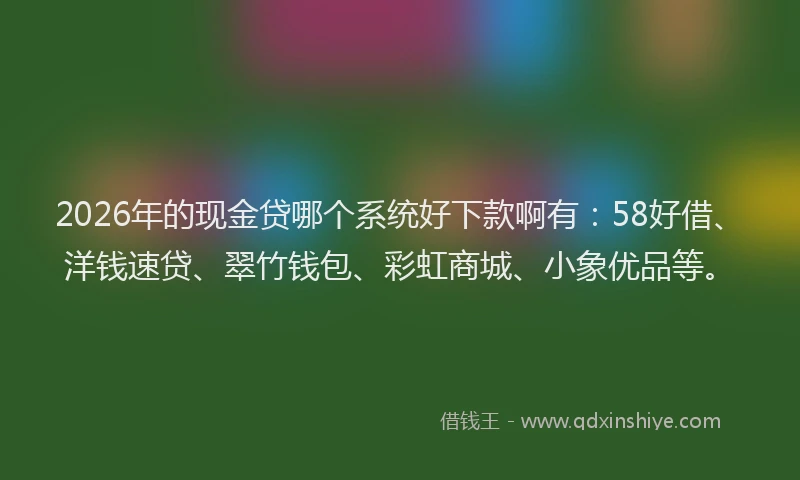 2026年的现金贷哪个系统好下款啊有：58好借、洋钱速贷、翠竹钱包、彩虹商城、小象优品等。