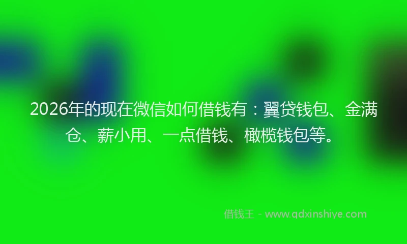 2026年的现在微信如何借钱有：翼贷钱包、金满仓、薪小用、一点借钱、橄榄钱包等。