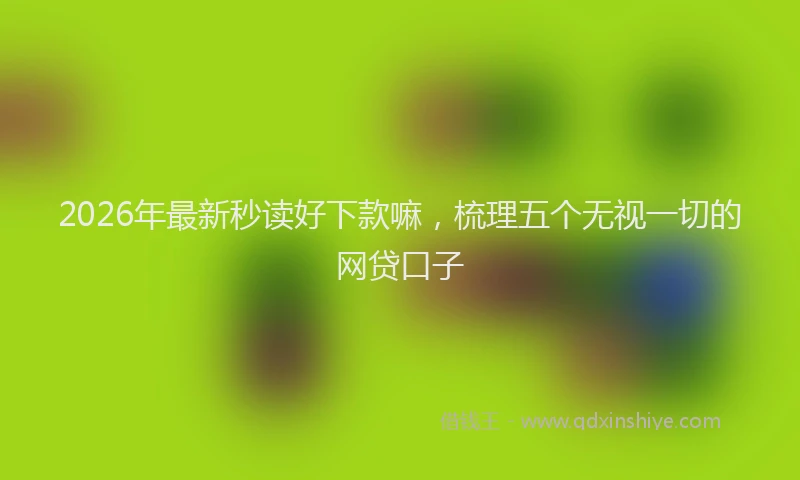 2026年最新秒读好下款嘛，梳理五个无视一切的网贷口子