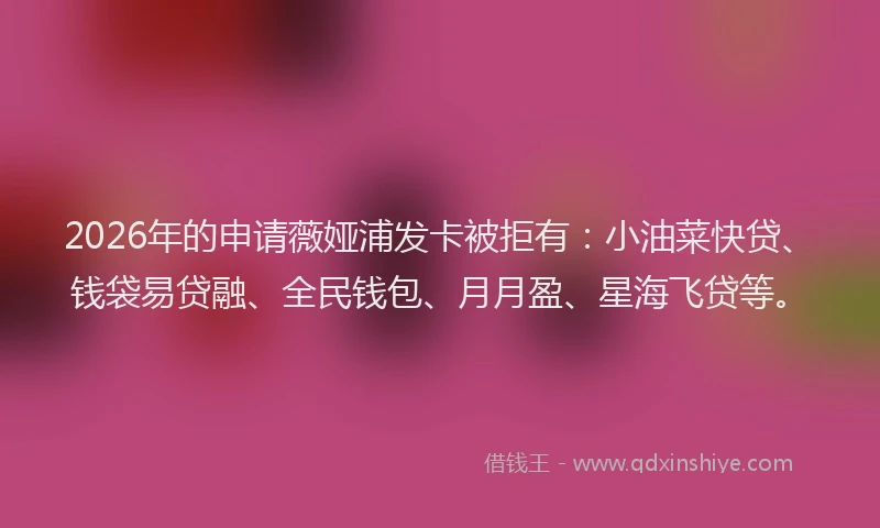 2026年的申请薇娅浦发卡被拒有：小油菜快贷、钱袋易贷融、全民钱包、月月盈、星海飞贷等。
