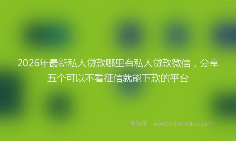 2026年最新私人贷款哪里有私人贷款微信，分享五个可以不看征信就能下款的平台