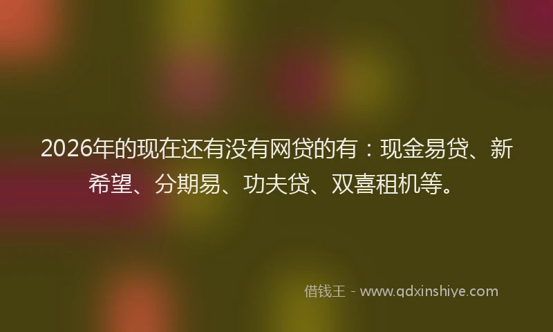 2026年的现在还有没有网贷的有：现金易贷、新希望、分期易、功夫贷、双喜租机等。
